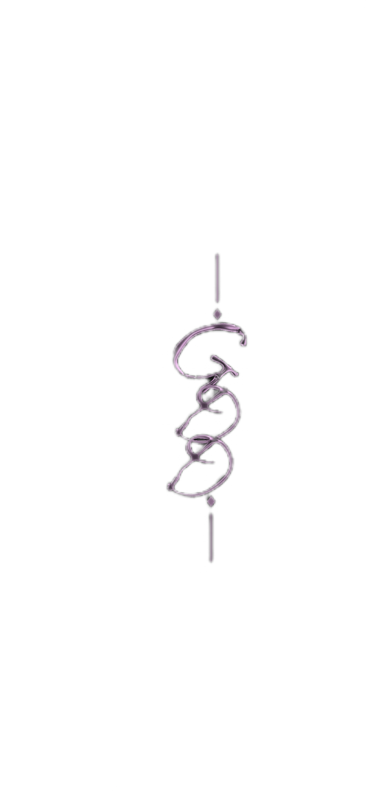 Data Entry (Custom)